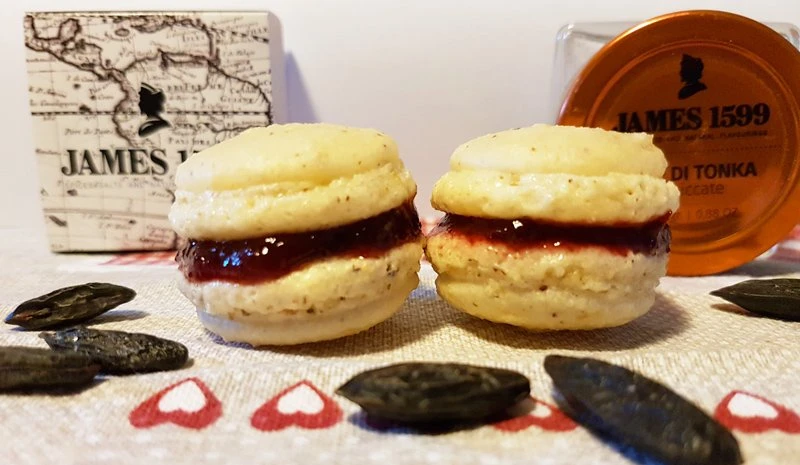 macarons-alle-fave-di-tonka-james1599-per-art